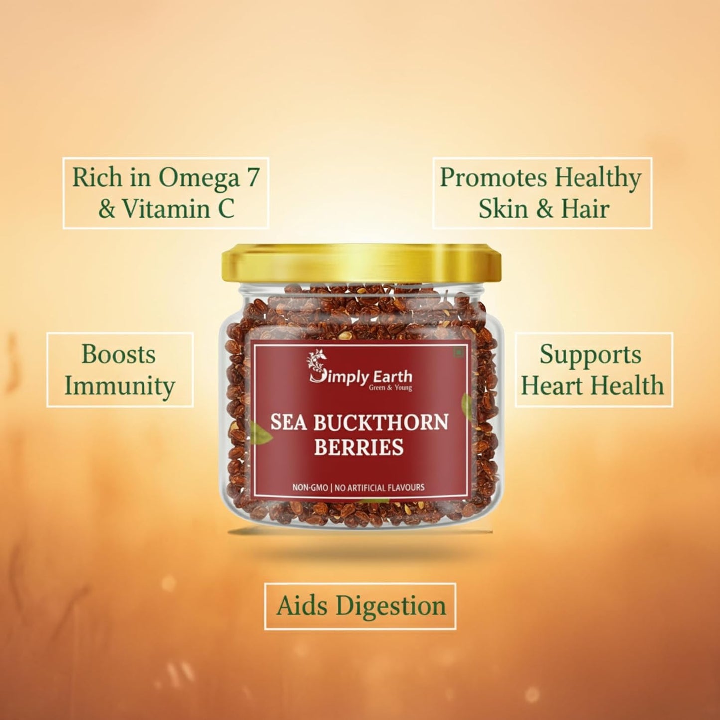 Simply Earth Sea Buckthorn Berries | 100% Natural & Non-GMO | Rich in Vitamin C, Omega 7 & Antioxidants | Boosts Immunity, Skin Glow & Hair Health | No Artificial Flavours - 60g