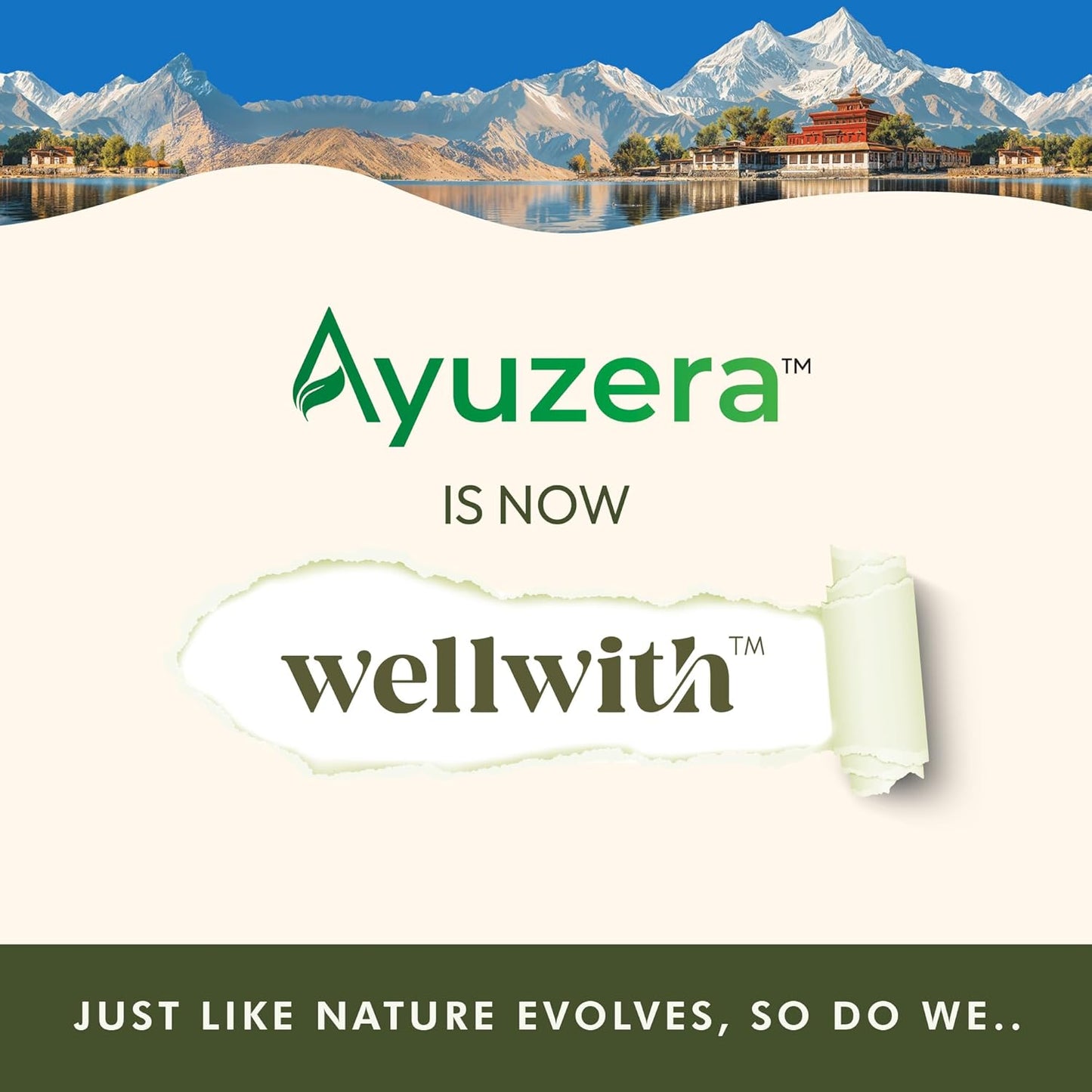 Wellwith by Ayuzera Sea buckthorn Dry Berry 100g – Natural, Sun-Dried, Rich in Omega 3,6,7 and 9, & Vitamin C, E | Dried Seabuckthorn Berries | No Added Sugar or Preservatives