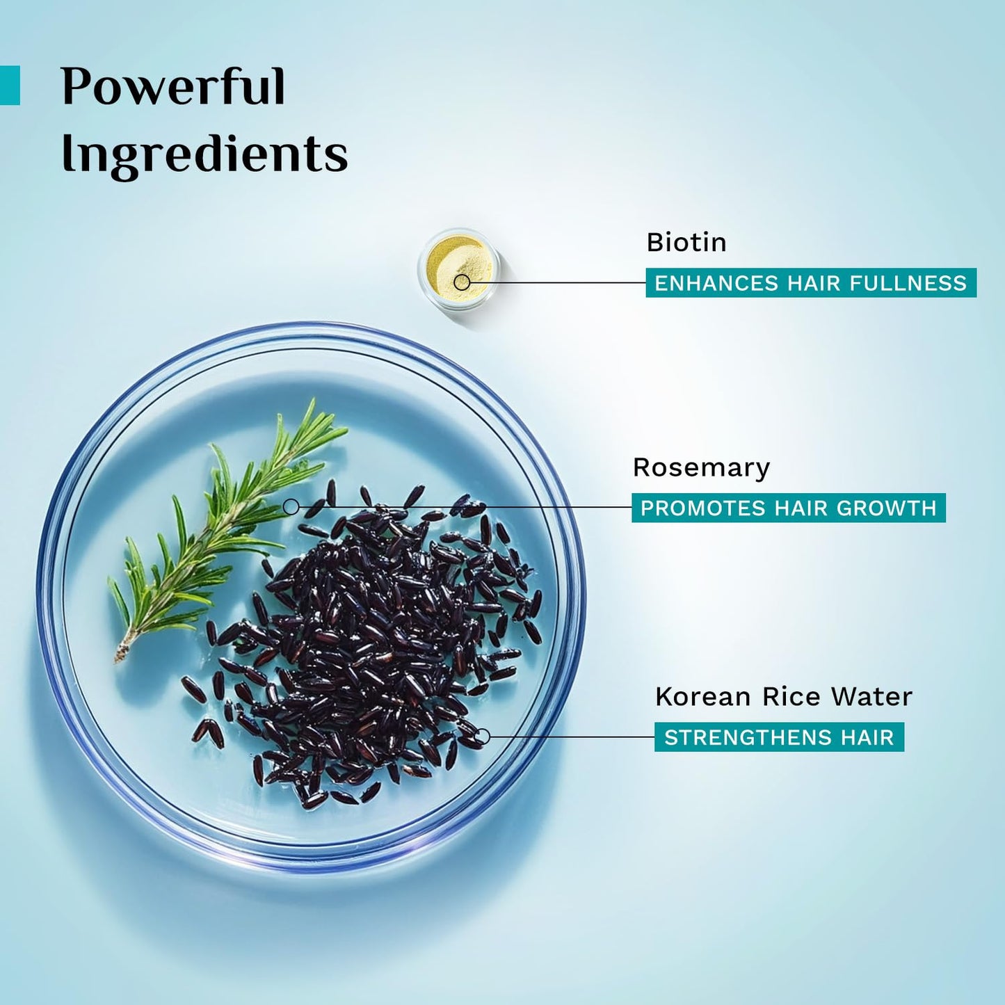 Pilgrim Korean Black Rice and Rosemary Water Spray With Biotin for Hair Growth 100ml | Hair Spray for Regrowth | Thicker & Stronger Hair | Sulphate & Paraben Free I For Women & Men