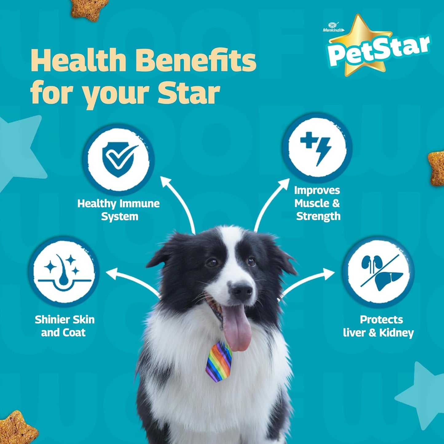 Mankind Petstar Adult Dry Dog Food (High Protein) Chicken & Wheat Flavor, 1kg | Improves Muscle & Strength, Supports Immunity, Protects Liver & Kidney| Adult Dog Food
