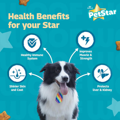 Mankind Petstar Adult Dry Dog Food (High Protein) Chicken & Wheat Flavor, 1kg | Improves Muscle & Strength, Supports Immunity, Protects Liver & Kidney| Adult Dog Food
