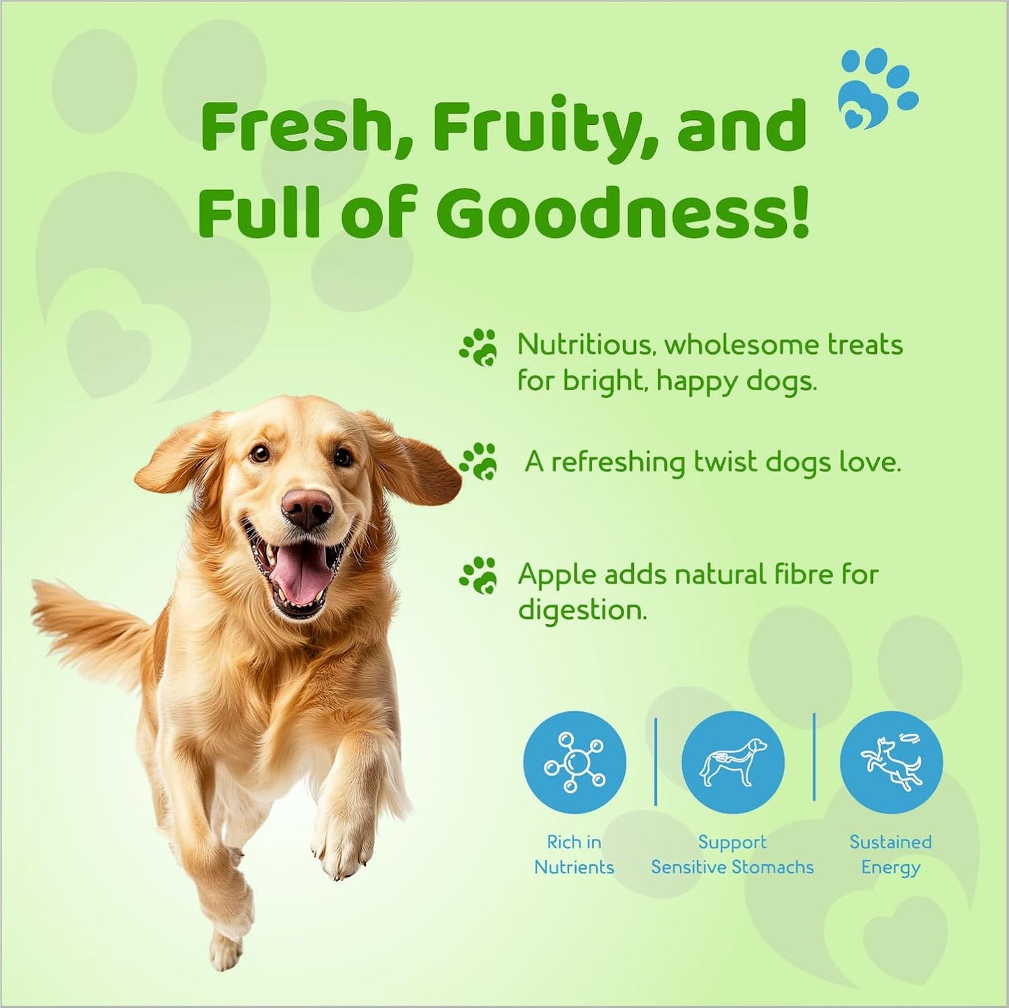 Petoska Chicken & Apple Dog Biscuits | 500g Jar | Made with Real Chicken & Apple | Crunchy Treats for Small, Medium & Large Dogs | 300 kcal/100g | Complementary Dog Food