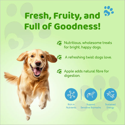 Petoska Chicken & Apple Dog Biscuits | 500g Jar | Made with Real Chicken & Apple | Crunchy Treats for Small, Medium & Large Dogs | 300 kcal/100g | Complementary Dog Food