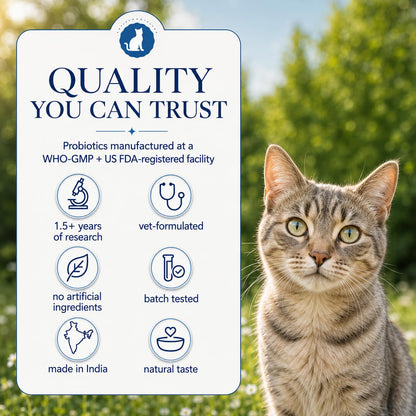 Whisker and Wilde Cat Gut Health Supplement | Targeted Gut Health Support | 6 Billion CFU Probiotics for Loose Stools, Vomiting, Gas and Paw Licking | L-Methionine for Urinary Health | 300g