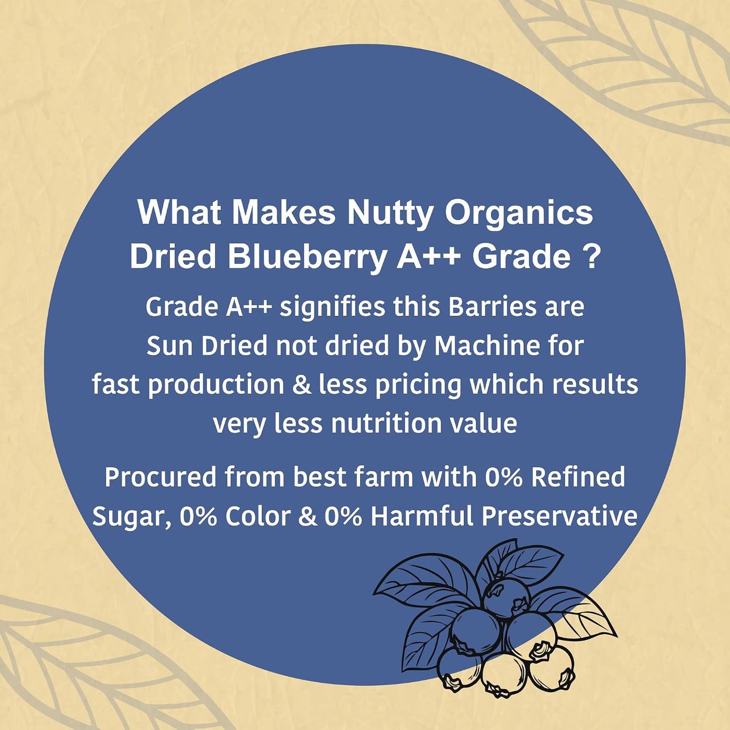 Nutty Organics No Refined Sugar Dried Blueberry, 100Gram, No Additives, 100% Pure & Healthy Snack For All Age (Dried Fruit)