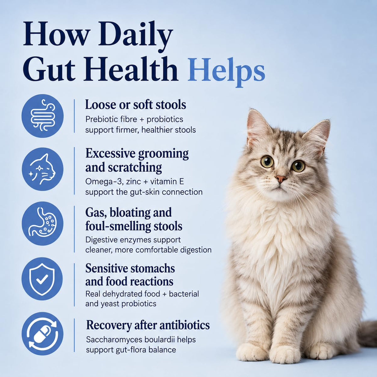 Whisker and Wilde Cat Gut Health Supplement | Targeted Gut Health Support | 6 Billion CFU Probiotics for Loose Stools, Vomiting, Gas and Paw Licking | L-Methionine for Urinary Health | 300g