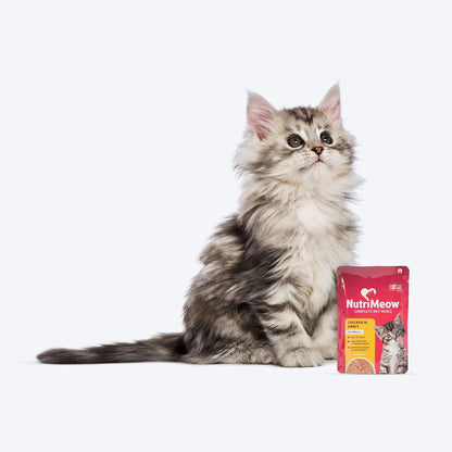 NutriMeow Chicken in Gravy Wet Kitten Food - 80gm | Protein-Packed, Healthy & Tasty Cat Pouch | Complete & Balanced Nutrition for Growing Kittens | Suitable for Persian & All Cat Breeds