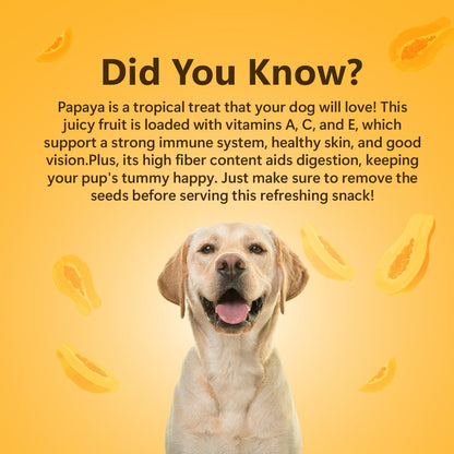 Pawfect Treats Nature's Munch Freeze-Dried Dog Treats Papaya Treats | Supports Digestion, Promotes Healthy Coat and Skin | Healthy Treats for Dogs | Dog Training Treats (40g) Pawfect