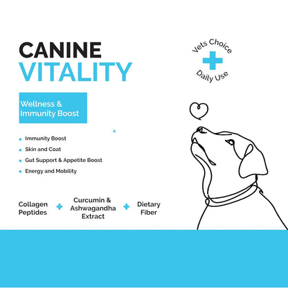 Goofy Tails Canine Vitality+ (100Mlx1Pack) Dog Immuity Booster, Dog Coat Supplement, Gut Supplement, Boosted with Curcuminoids, Ashwagandha, Prebiotics & Collagen for Dogs
