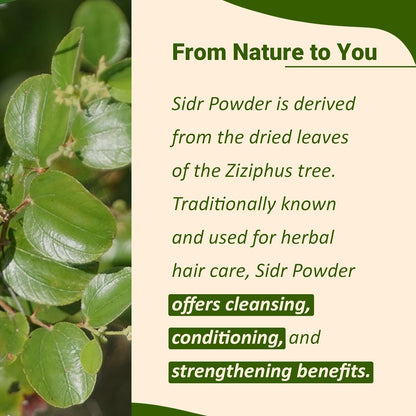 Namo Organcis - Sidr Leaves Powder - 300g | Natural Deep Cleansing & Conditioning Herb for Hair Care | Traditional Herbal Cleanser |Plant-based Source of Mucilages and Saponins