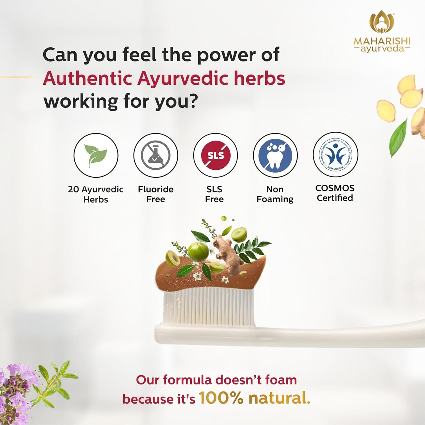 Zephivo Maharishi Ayurveda Ayurdent Toothpaste, Unique Saliva Balancing Formula, for Toothache, Bleeding Gums, Sensitivity, Cavities, Plaque & Bad breath, Non Foaming, No SLS & Fluoride
