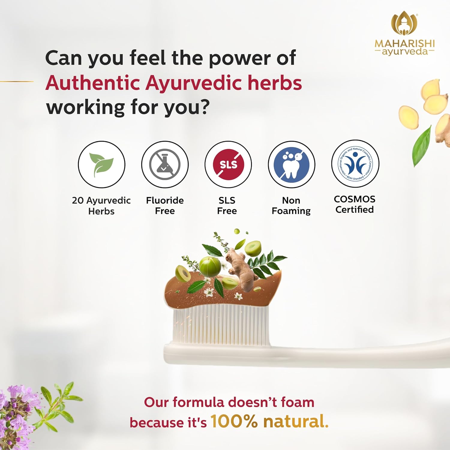 Zephivo Maharishi Ayurveda Ayurdent Toothpaste, Unique Saliva Balancing Formula, for Toothache, Bleeding Gums, Sensitivity, Cavities, Plaque & Bad breath, Non Foaming, No SLS & Fluoride
