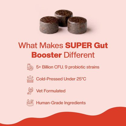 BLEP Super Gut Booster - Dog Probiotic Soft Chew Supplement, Gut Health, Loose Stool, Gas, Diarrhea & Itchy Skin | Pre, Pro & Postbiotics + Digestive Enzymes | 9 Probiotic Strains, 5B CFU | 60g