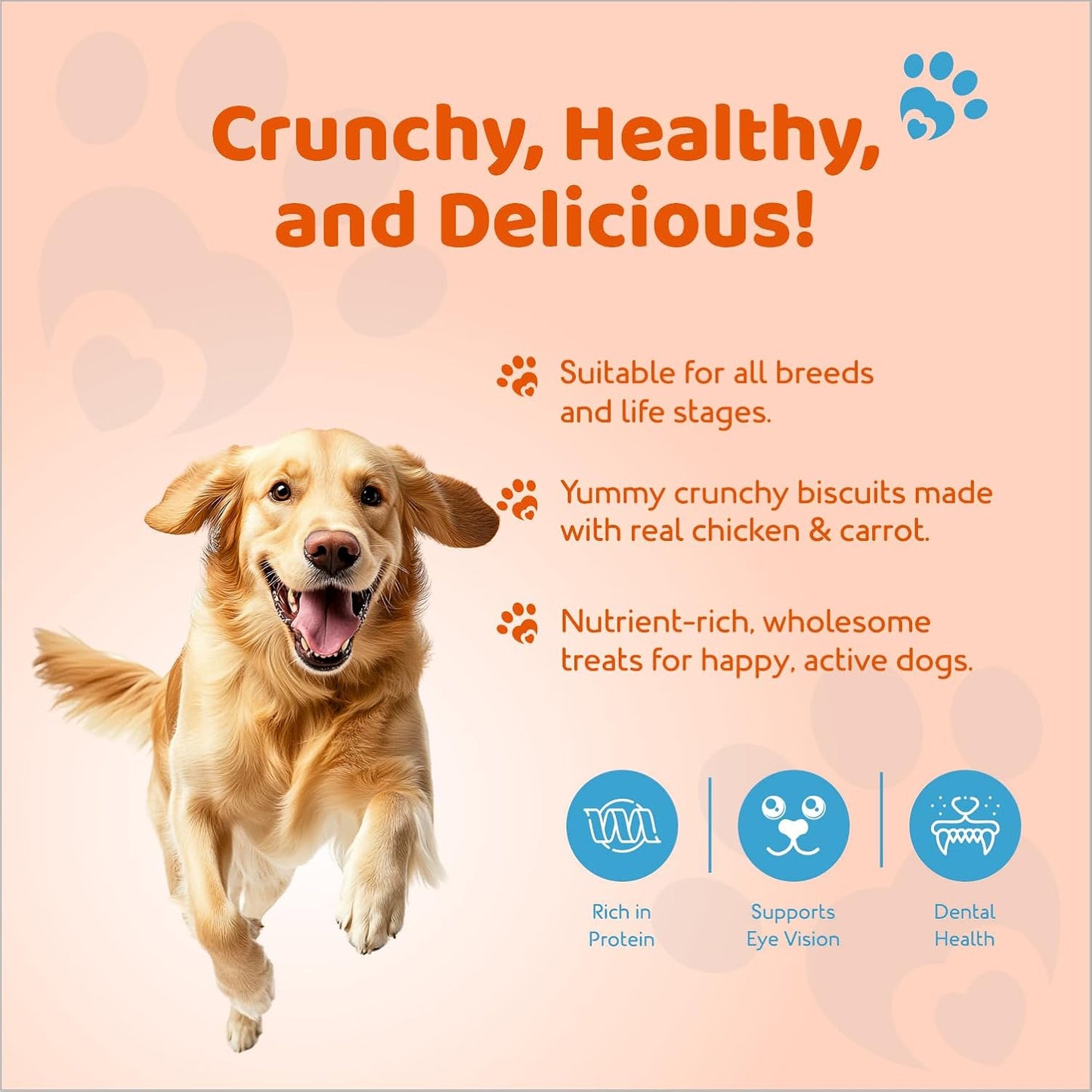 Petoska Chicken & Carrot Dog Biscuits for Small, Medium & Large Breeds | 500g Jar| Real Chicken & Carrot Treats | Crunchy Dog Food Biscuits | High Protein, Slow-Baked, Fresh & Safe