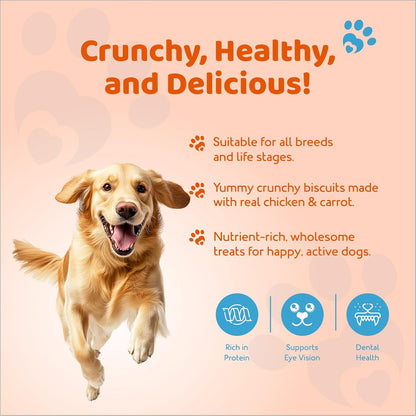 Petoska Chicken & Carrot Dog Biscuits for Small, Medium & Large Breeds | 500g Jar| Real Chicken & Carrot Treats | Crunchy Dog Food Biscuits | High Protein, Slow-Baked, Fresh & Safe