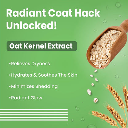 BARK OUT LOUD-Shiny Coat Dog Shampoo | Oatmeal, Coconut, Linseed, Cedar-Wood | Hydrating & Anti-Fungal/Bacterial | Healthy Glowing Coat, Shampoo for Dogs (200 ml)
