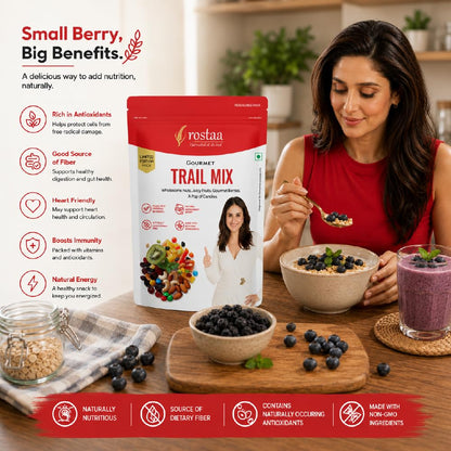 Rostaa Gourmet Trail Mix 340 g | Premium Nuts & Candied Fruits Blend | Colorful, Crunchy & Naturally Energizing Snack | Perfect for Anytime Munching (340 GM)