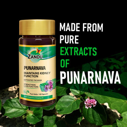 Zandu Punarnava Capsules, With Goodness of Natural Punarnava Extract known for Good Gut Health & for Healthy Appetite, Helps for Heart and Urinary Health - 60 Veg capsules
