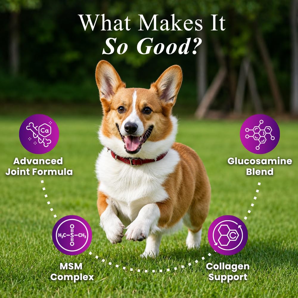 Petroyale Hip & Joint Advanced Mobility Soft Chews for Dogs | Glucosamine, Chondroitin, MSM, Collagen, Hyaluronic Acid, Boswellia & Devil's Claw | Joint Support Supplement | 30 Chews