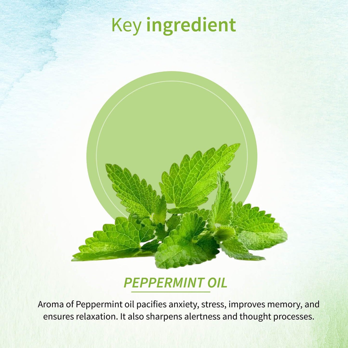 Ayouthveda Peppermint Essential Oil for Skin & Hair | Aromatherapy Kit for Stress Relief & Relaxation | 100% Pure & Natural Therapeutic Grade |Can Be Used as Air purifier (Pack Of 1; 15ml)
