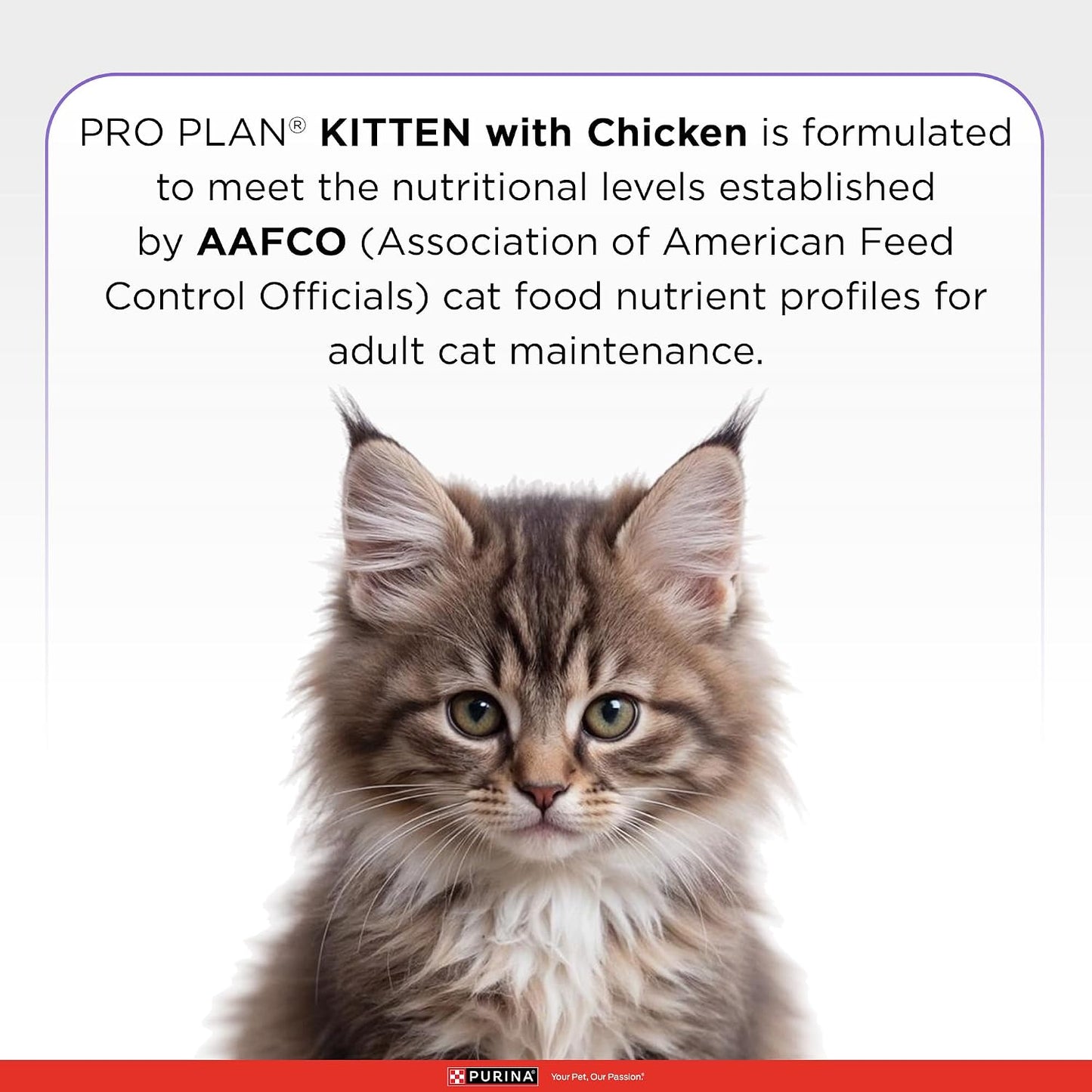 Purina Pro Plan Kitten Dry Food with Chicken, 1.2kg Pack | With Chicken, Complete Kitten Nutrition, High Quality Protein, Essential Vitamins & Minerals