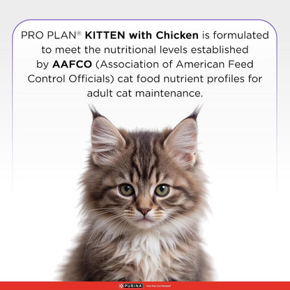 Purina Pro Plan Kitten Dry Food with Chicken, 1.2kg Pack | With Chicken, Complete Kitten Nutrition, High Quality Protein, Essential Vitamins & Minerals