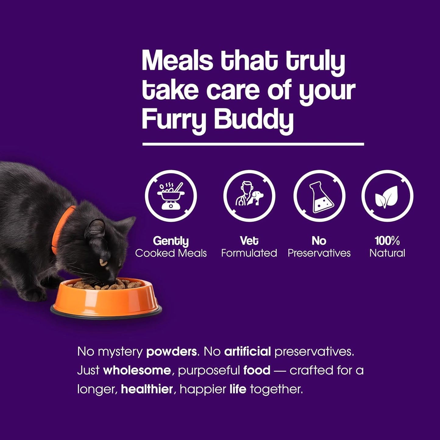 Wuuff&Meow Chicken & Tuna Wet Cat Food in Gravy for Adult & Kittens | Gently Cooked High Protein Cat Food | Zero Preservatives Powered BY BIOFIBER™ with Arbocel® for Digestion (100 g (Pack of 1))