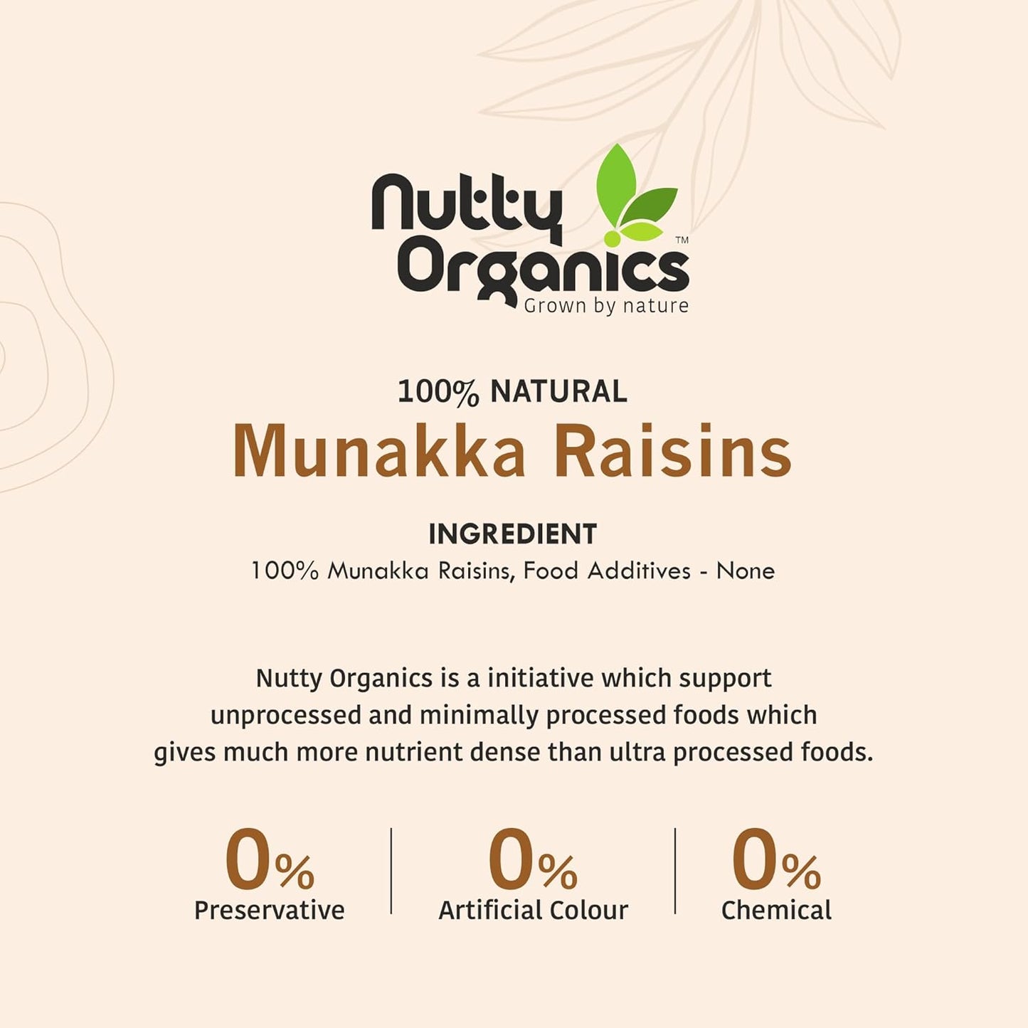 Nutty Organics Munaka Raisins 250 Gm | Nutritious| Rich in Iron | Tasty & Healthy Nuts Dry Fruits | Rich in Protein