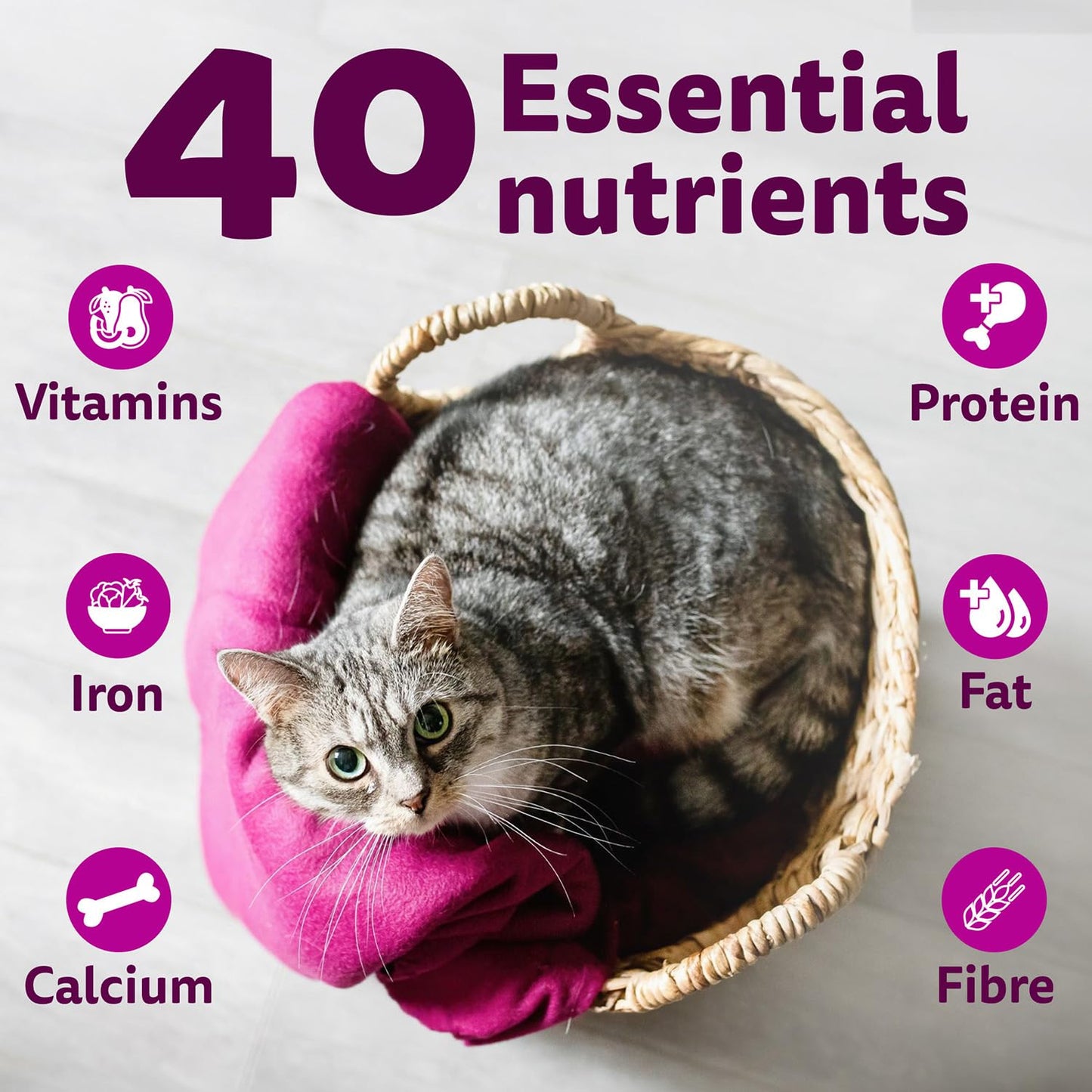Whiskas Adult (1+ Years) Dry Cat Food, Catla Fish Flavour, 1.2 kg, Powered with 40 Essential Nutrients, Complete & Balanced Nutrition for Adult Cats