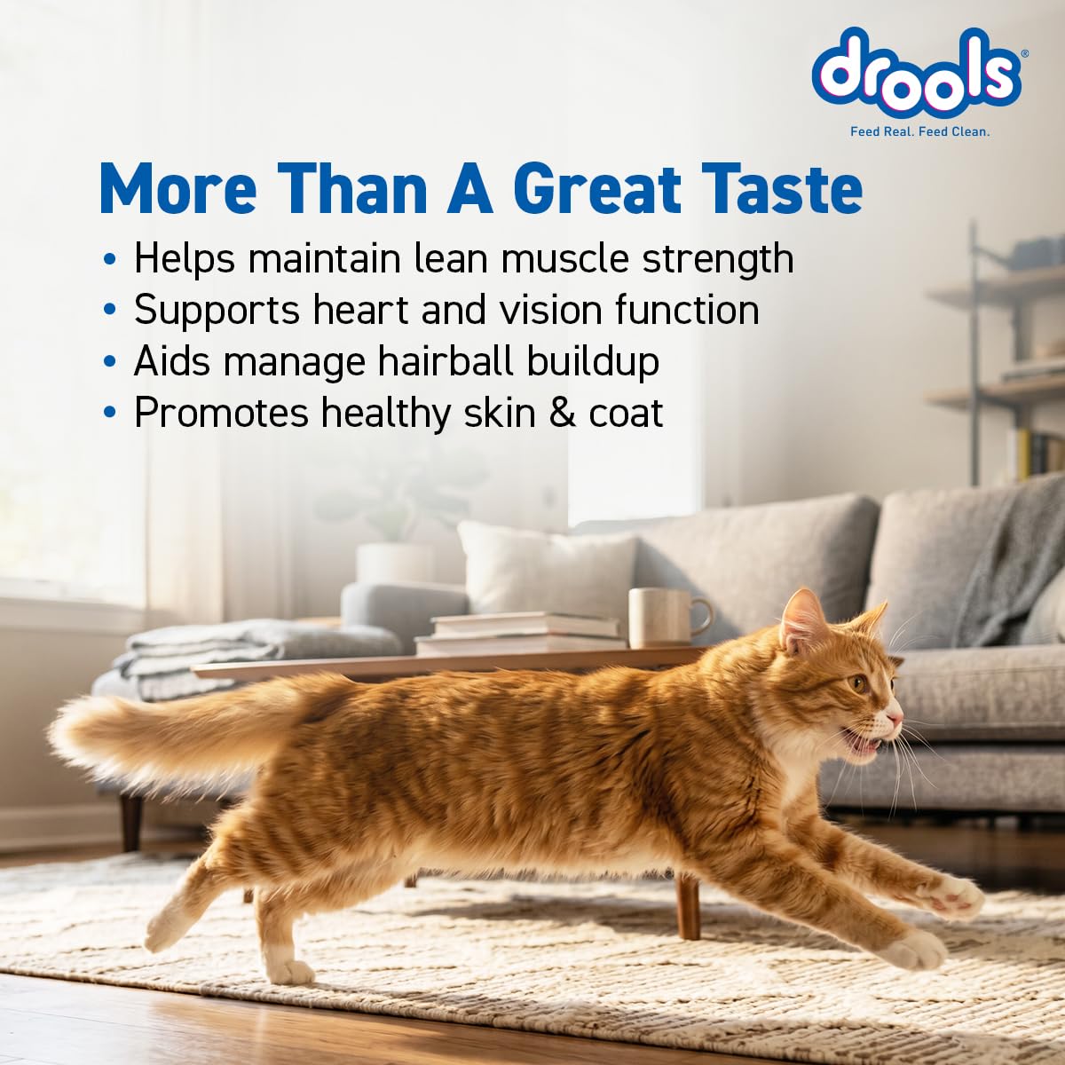Drools Adult Dry Cat Food 1.2kg Pack | Mackerel Flavour | Enriched with Essential Nutrients | Supports Skin & Coat | Complete Nutrition | Aids Digestion | Promotes Growth