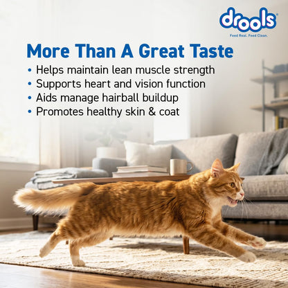 Drools Adult Dry Cat Food 1.2kg Pack | Mackerel Flavour | Enriched with Essential Nutrients | Supports Skin & Coat | Complete Nutrition | Aids Digestion | Promotes Growth