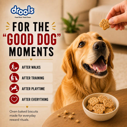 Drools All Life Stages Dog Treat Biscuits 400g Jar | Real Chicken Flavour | All Breed Formula | Promotes Lustrous Skin & Coat | Vitamins & Minerals | Reduces Tartar Build Up