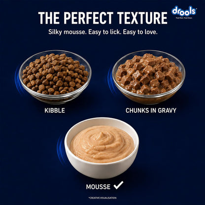 Drools Kitten Wet Mousse 80g | Ocean Fish | High Protein | Promotes Hydration & Easy Digestion | Grain Free | No Artificial Additives | Enriched with Vitamins & Antioxidants