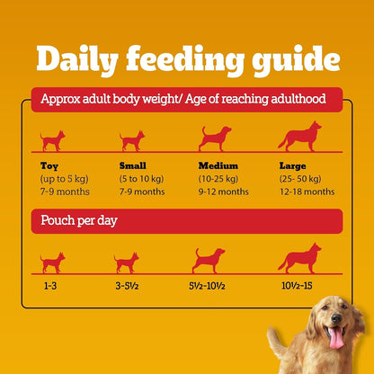 Pedigree Adult Wet Dog Food, Chicken & Liver Chunks in Gravy, 70 g, Complete & Balanced Meal for Adult Dogs