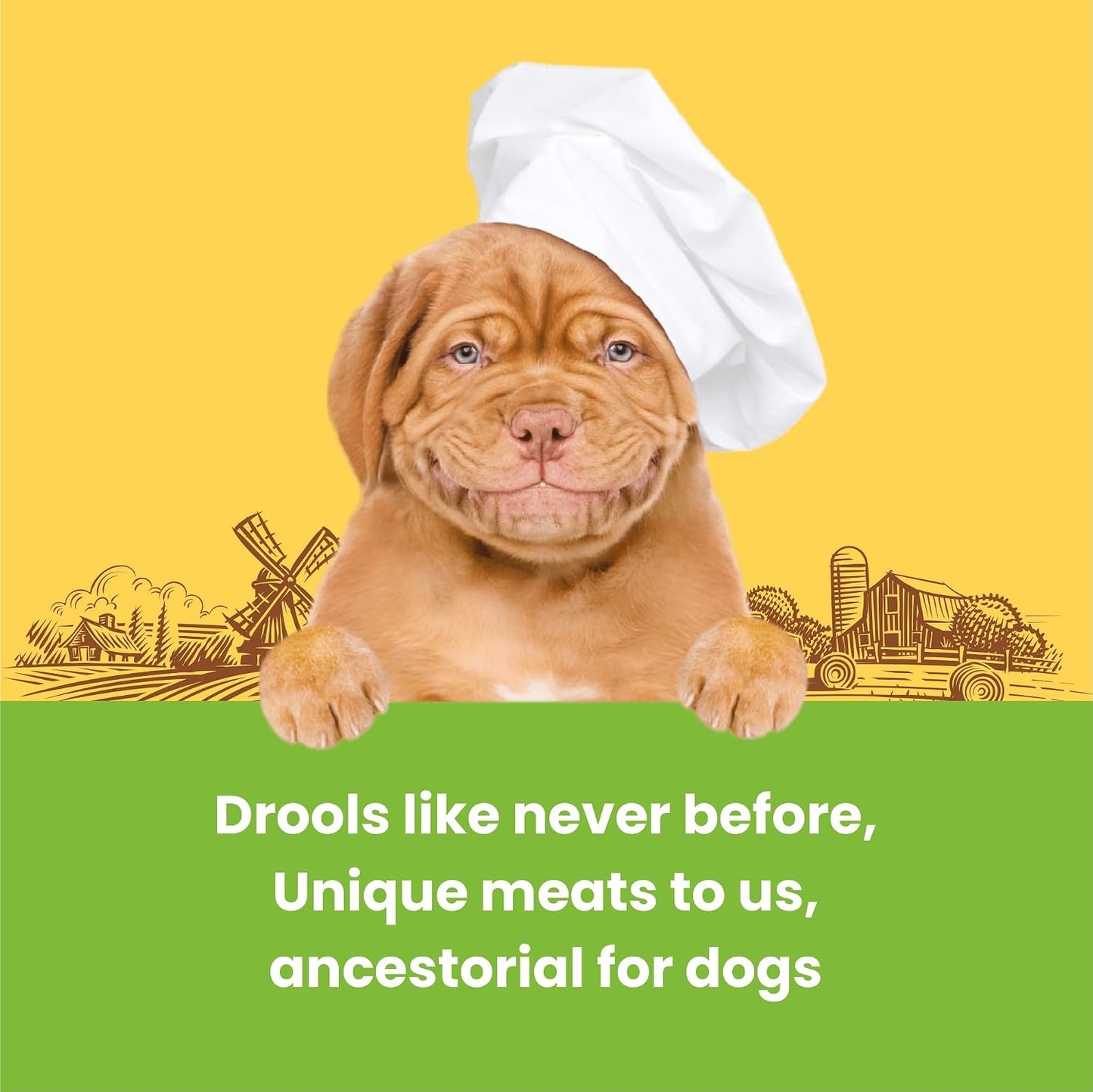 Barkbutler x Dogfest Dog Training Treats, Turkey & Flax Seeds, Superfood Treats for Adult Dogs, Bite-Sized Dog Treat for Puppies, Treats, Aids Digestion & Boosts Immunity