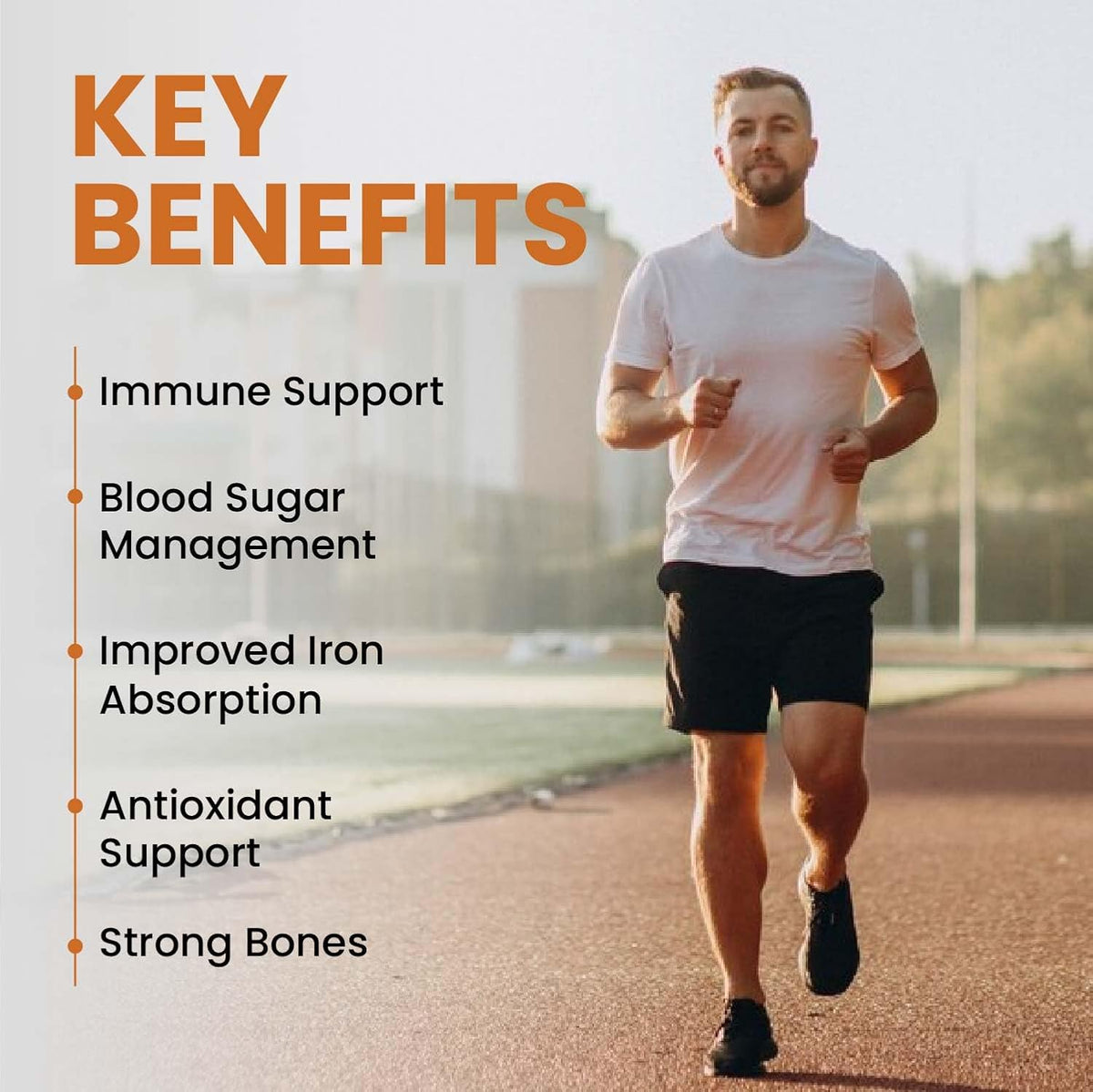 Vlado’s Himalayan Organics Zinc Citrate with Vitamin C | Zinc Supplements for Men & women with 100% RDA Zinc | Immunity & Cellular Health Support - Support Healthy Immune Function | Improve Iron Absorption | Antioxidant Support - 120 Tablets