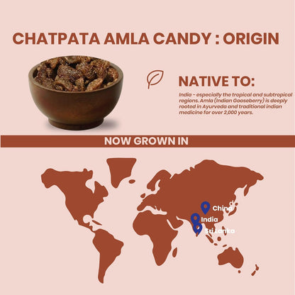 Livyor Dried Chatpata Amla Candy for eating | Dried and Spicy | Indian Dry Gooseberry Avla | Mouth freshner | No preservatives | | Amla Candy Chatpata | Pack of 1