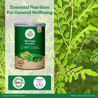 Moringa powder canister with green leaves on a green background