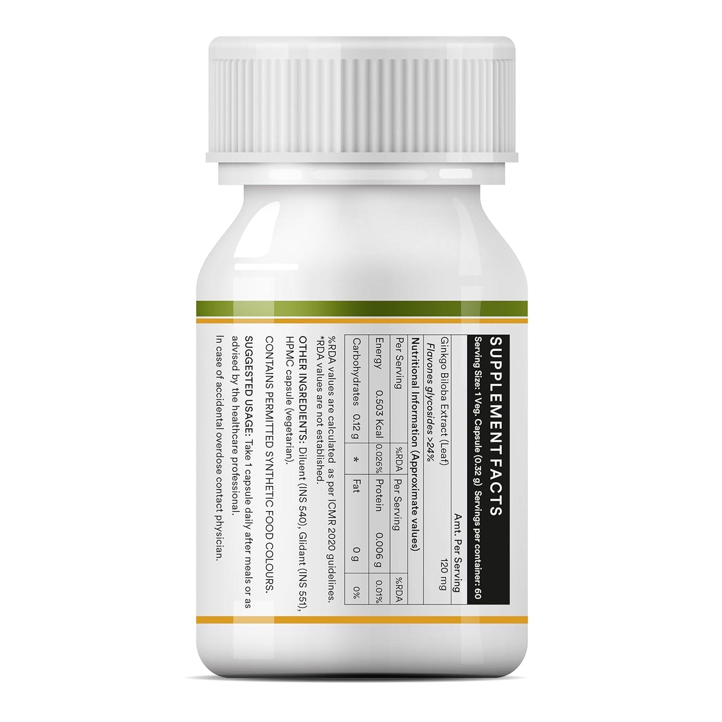 INLIFE Ginkgo Biloba Extract Capsules 120mg | Herbal Supplement | Memory Support - 60 Vegetarian Capsules (Pack of 1, 60)