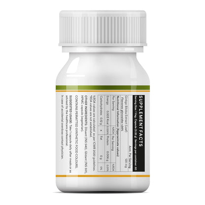 INLIFE Ginkgo Biloba Extract Capsules 120mg | Herbal Supplement | Memory Support - 60 Vegetarian Capsules (Pack of 1, 60)