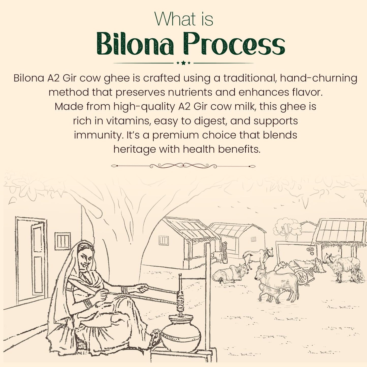 SATVIK PURE GHEE A2 Gir Cow Ghee 1 Litre Churned From Vedic Bilona Method Bilona Ghee A2 Cow Desi Ghee 1 Litre,1.49 Kilograms