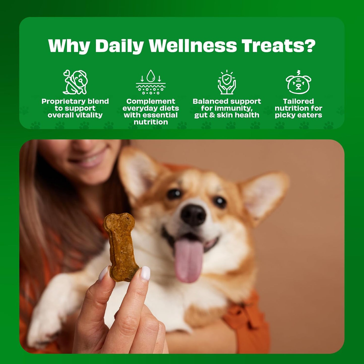 Pawfect Cheesecuits - Cheese Biscuits with Banana, Peanut Butter & Eggs for Dogs - 100% Natural - Grain-Free - Hypoallergenic - Rich in Antioxidants - High-Protein Dog Training Treats (100g/3.53oz)