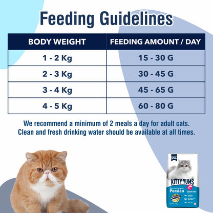 Kitty Yums Adult Persian Dry Cat Food 1.2kg Pack | Ocean Fish Flavour | Develop Strong Bones | Strong Immune System | Strong Vision Development Support Digestive Health