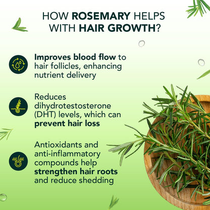 Alps Goodness Rosemary Water Spray for Hair Growth (250ml) | Clinically Proven (In Vivo Tested) to Reduce Hair Fall & Promote Regrowth | 100% Natural Rosemary Extract | Leave-On Scalp & Hair Spray For Men & Women