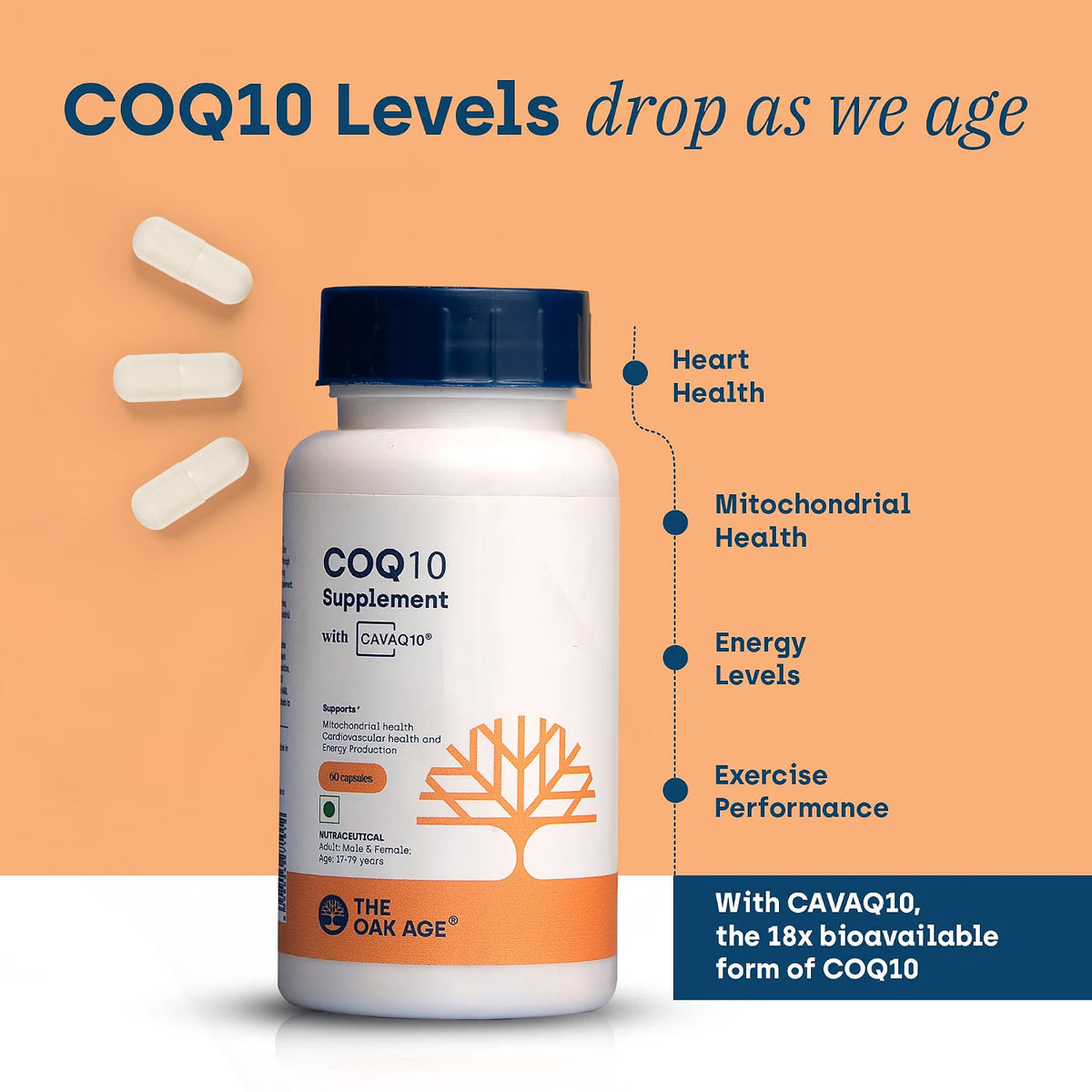 The Oak Age Longevity Core Bundle | NMN + Resveratrol, CoQ10 & Berberine | Cellular Energy, Mitochondrial Support & Metabolic Balance