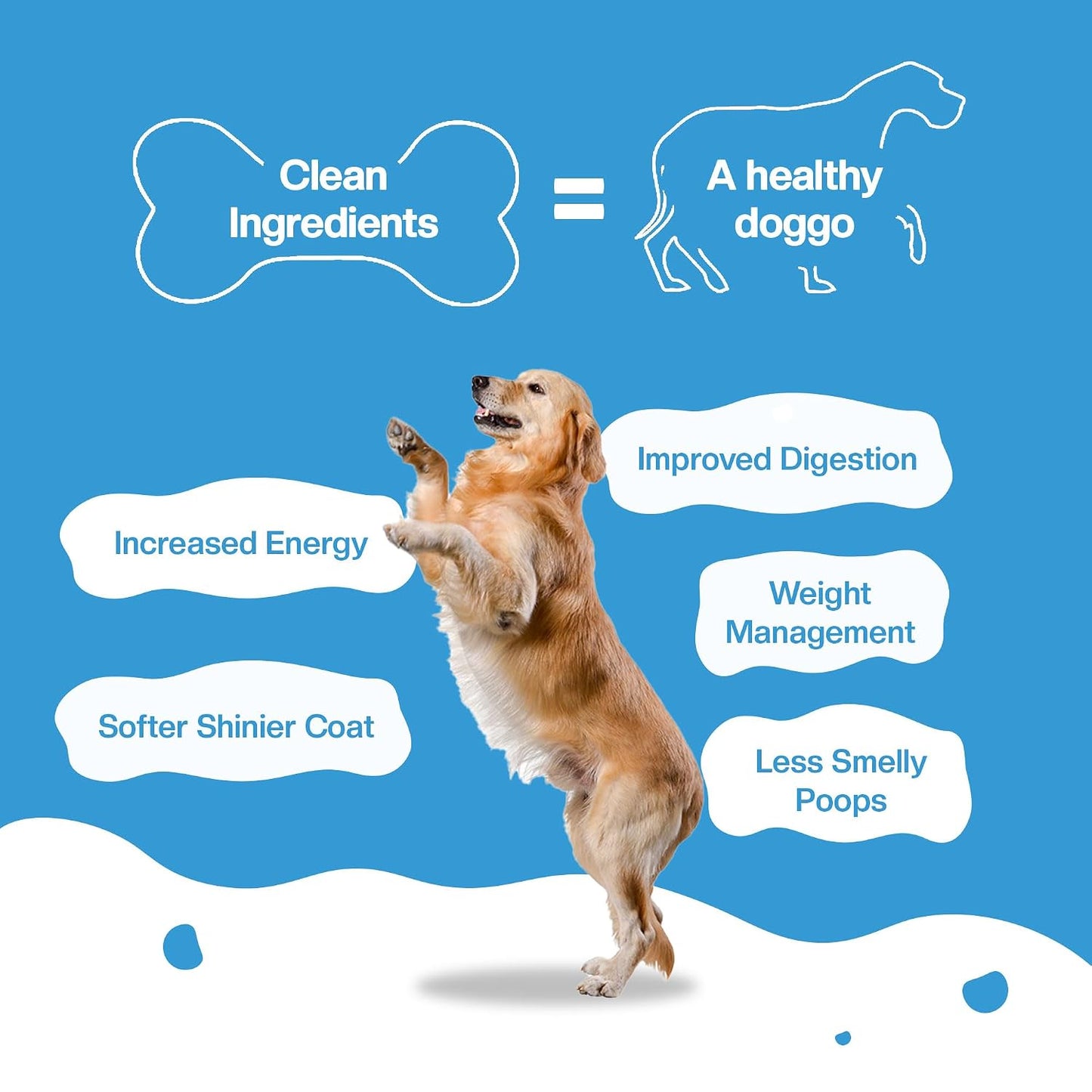 BLEP Fresh Dog Food (Wet) Human Grade, Grain Free|Paneer, Quinoa & Mixed Veggies|Omega 3, 6, Vitamin A, D, E, B|Zero Preservatives & Sugar|Easily Digestible|for All Dog Breeds|100g (Pack of 1)