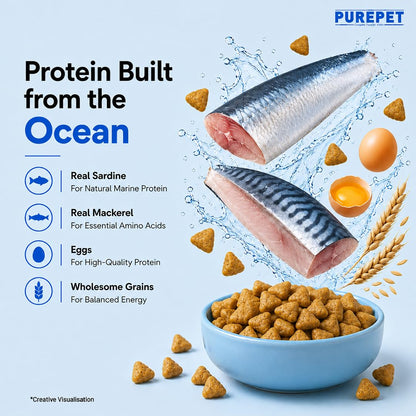 Purepet Kitten Dry Cat Food 1.2kg | Ocean Fish Flavour | Supports Active Behaviour | Hairball Control | Urinary Tract Health | Nutrient-Rich with Essential Minerals