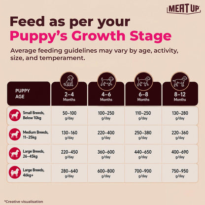 Meat Up Puppy Dry Dog Food 1.2kg Pack| Chicken & Milk Flavour | Supports Growth | Highly Palatable & Easily Digestible