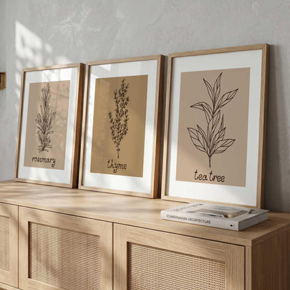 Botanical Wall Art Painting |Poster With Frame Wall Decoration Wall Paintings For Home Décor | Frames For Home Décor Office Living Room | Set of 3 (13X17 inch)