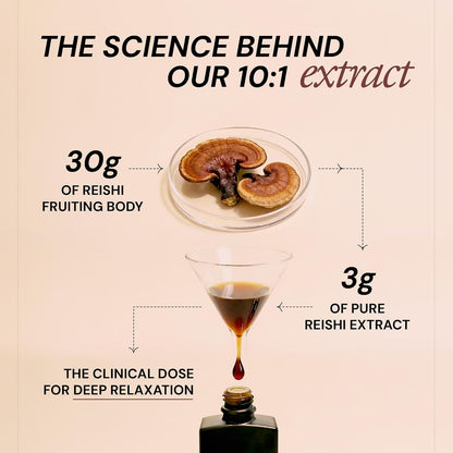 Ace Blend Energy Shroom Concentrate | Reishi Mushroom Extract Liquid | 30ml, 30 servings | 10:1 Concentrate | Ultrasonic Extracted Mushroom Blend | Daily Supplement | For Mind & Body Relaxation